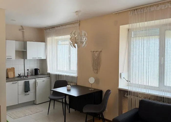 Paupys Cozy Apartman Vilnius